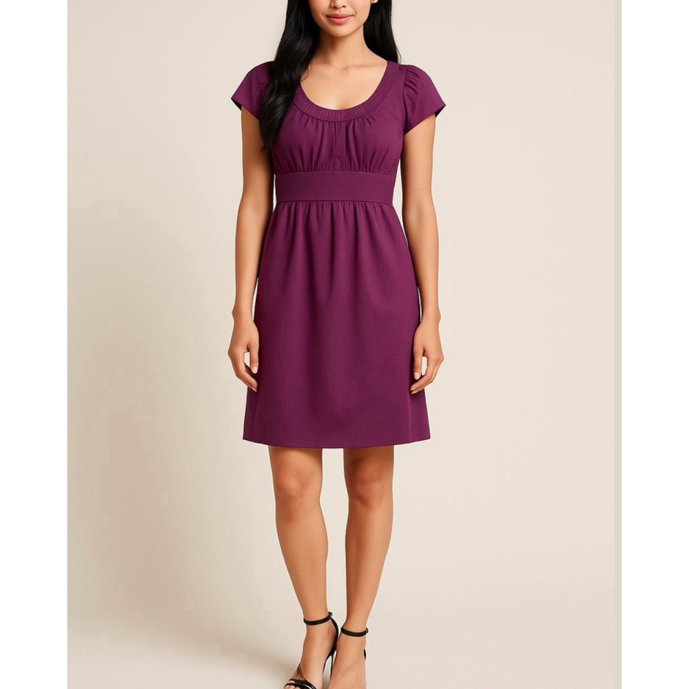 Ann Taylor LOFT Plum Purple Mini Dress Size 2